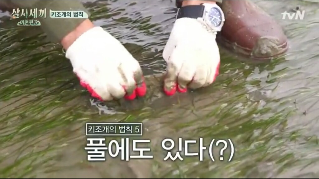 [삼시세끼] 에릭이 말하는 어이없는 키조개의 법칙ㅋㅋㅋㅋㅋㅋㅋㅋㅋ | 인스티즈