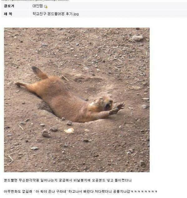 거를게 1도 없는 디씨 레전드글 모음ㅋㅋㅋㅋㅋㅋㅋㅋㅋㅋㅋㅋㅋㅋㅋㅋ.jpg | 인스티즈