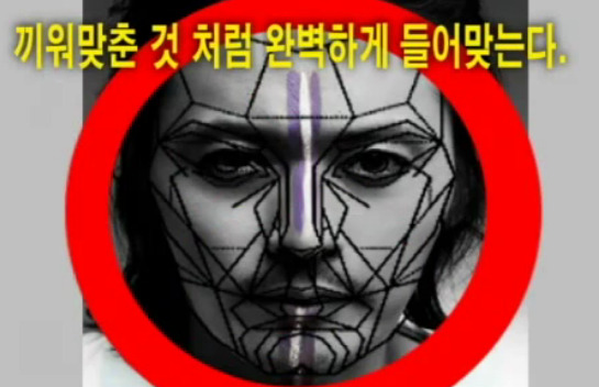 재미로 보는 잘생겼다. 예쁘다. 의 황금비율 마스크 조건.jpg | 인스티즈