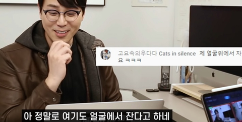 고양이가 사람을 밟고 지나가는 이유 | 인스티즈