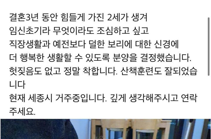 강아지 분양 보낼 때 신혼부부는 1순위로 거르는 이유.JPG | 인스티즈