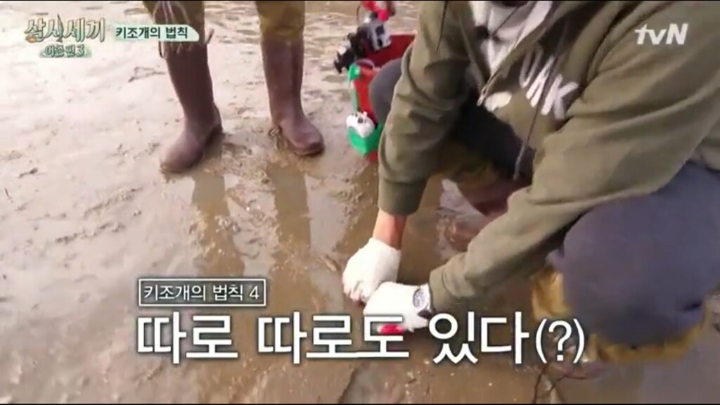 [삼시세끼] 에릭이 말하는 어이없는 키조개의 법칙ㅋㅋㅋㅋㅋㅋㅋㅋㅋ | 인스티즈