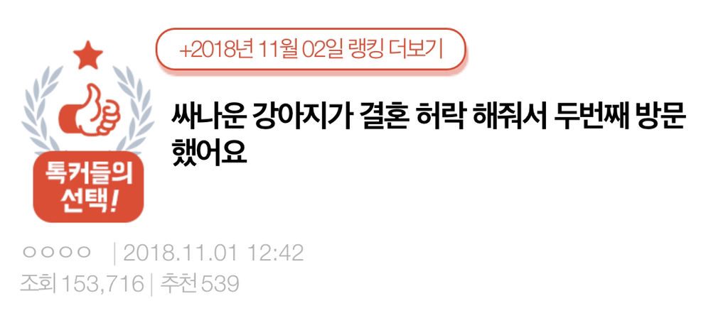 남친네 사나운 강아지가 결혼을 허락해줬는데요 (후기 있음) | 인스티즈