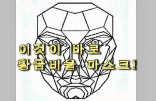 재미로 보는 잘생겼다. 예쁘다. 의 황금비율 마스크 조건.jpg | 인스티즈