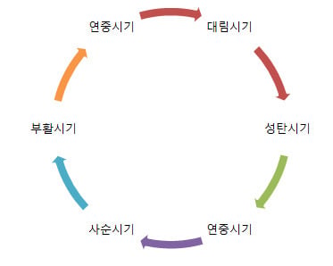 검은사제들 보고 찾아본 가톨릭 신부복(수단)과 제의 및 제구들 | 인스티즈