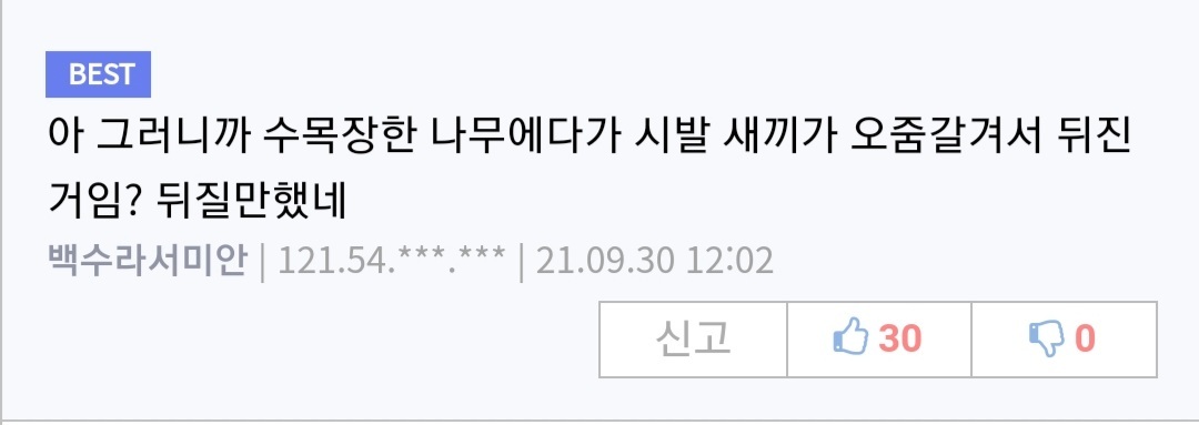 사실 한국인들은 별로 안 무서웠던 장면(미드소마 스포) | 인스티즈