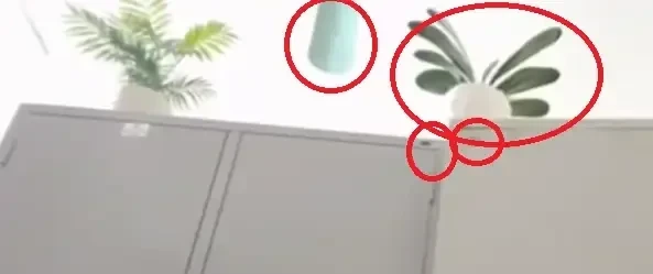 결국 구속된 "베트남 정육점 영상 사건"의 범인에 대한 이야기 | 인스티즈