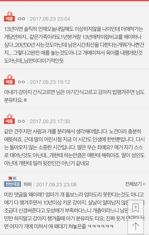 아내가 딸보다 개를 더 좋아해요(+아내입장) | 인스티즈