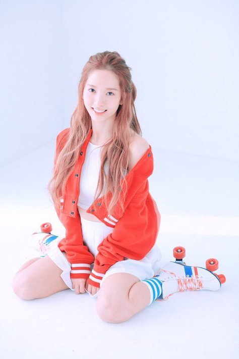 로타랑 작업한 로리타, 에페보필리아 콘셉트 & 관련 연예인 | 인스티즈