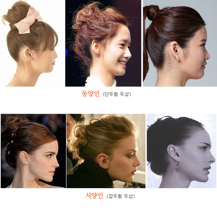 장두형 단두형에 대해서 알아보자 jpg | 인스티즈