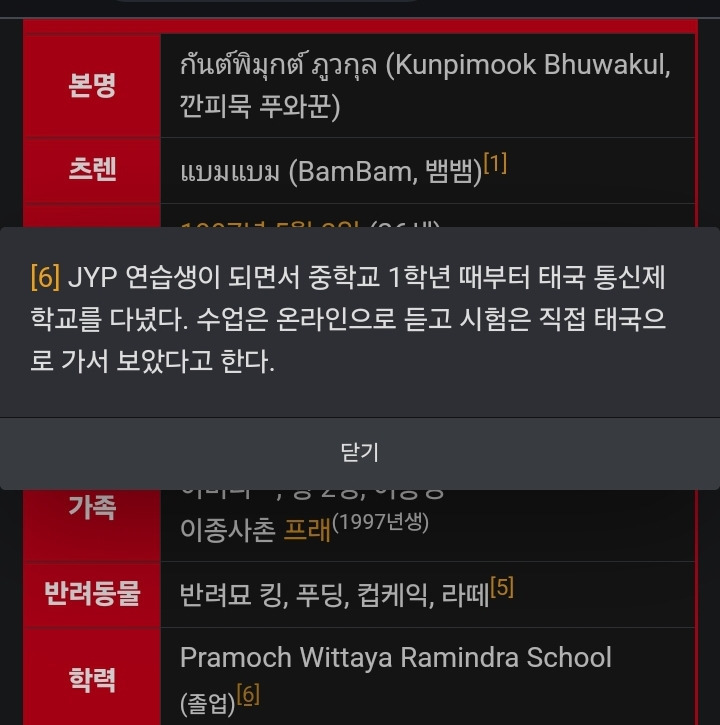 태국 출신 아이돌 중 유일한 흙수저(or 중산층) 아이돌 뱀뱀 | 인스티즈