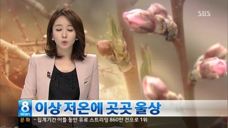 박선영 아나운서 레전드 모음 | 인스티즈