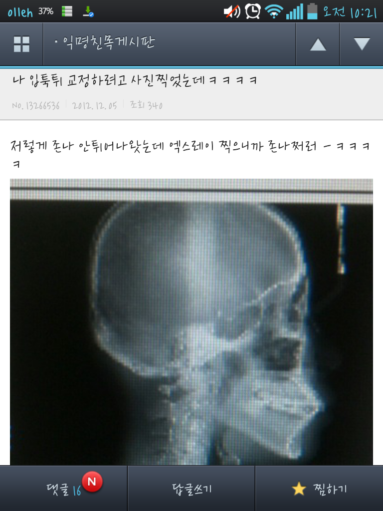 쭉빵 익친 웃긴글 모음ㅋㅋㅋㅋㅋㅋㅋㅋㅋ.jpg | 인스티즈