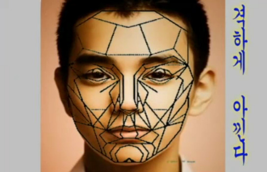 재미로 보는 잘생겼다. 예쁘다. 의 황금비율 마스크 조건.jpg | 인스티즈