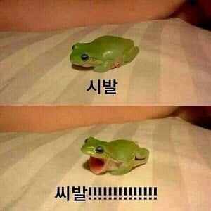 마이클잭슨이 유일하게 사랑했던 여자 (ft. 사랑꾼) | 인스티즈