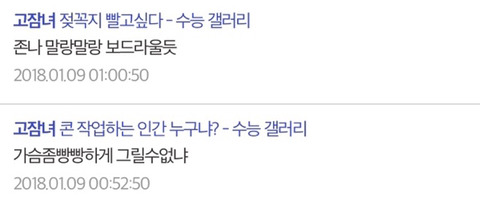 디씨 수능갤러리의 특정 대학교를 향한 성희롱 수준 | 인스티즈