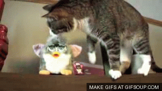 90년대생이라면 한번쯤 봤을 것 같은 장난감 퍼비 | 인스티즈