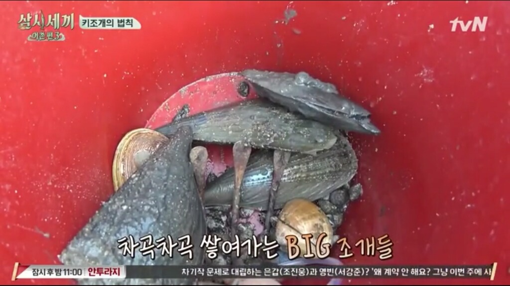 [삼시세끼] 에릭이 말하는 어이없는 키조개의 법칙ㅋㅋㅋㅋㅋㅋㅋㅋㅋ | 인스티즈