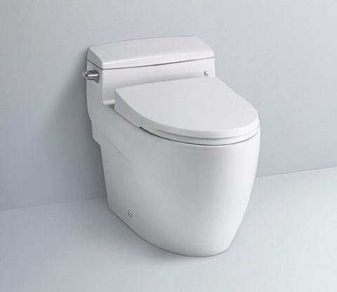 집보러 다닐때 피해야할 변기 | 인스티즈