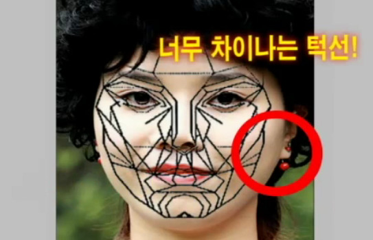 재미로 보는 잘생겼다. 예쁘다. 의 황금비율 마스크 조건.jpg | 인스티즈