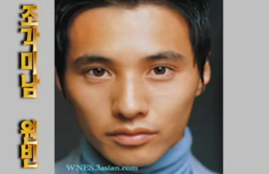 재미로 보는 잘생겼다. 예쁘다. 의 황금비율 마스크 조건.jpg | 인스티즈