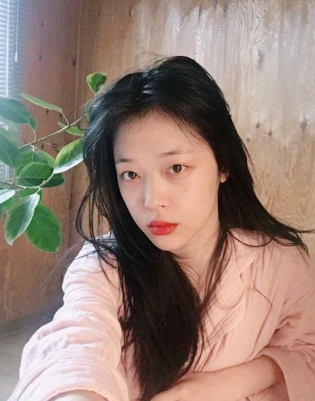 쇼미6 최자집이 익숙했던 이유ㄷㄷㄷㄷㄷㄷㄷㄷㄷ.JPG (feat.설리)+다시보는 극딜 | 인스티즈