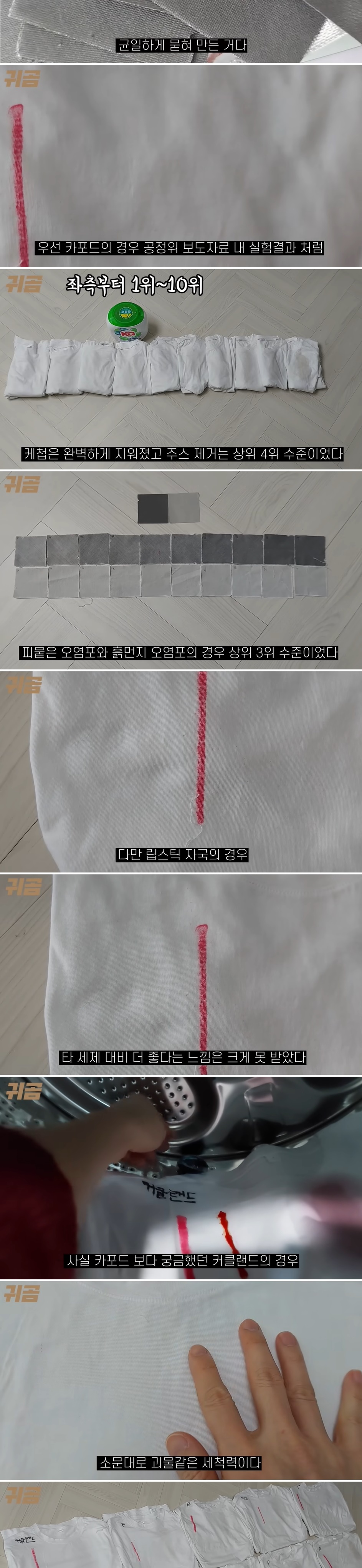 세탁세제 10종 비교_귀곰 내돈내산 | 인스티즈