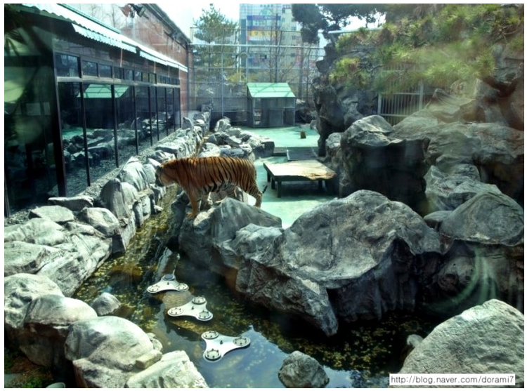 흙오이급으로 안나오는 옛날 부산 롯데월드.jpg | 인스티즈