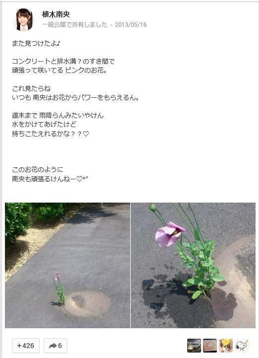 밟아도 뿌리 뻗는 잔디풀처럼 시들어도 다시 피는 무궁화처럼 | 인스티즈