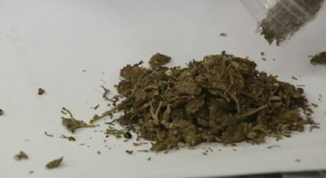 대마와 담배의 차이.jpg (feat. 담배는 합법인데 대마는 왜 불법임?) | 인스티즈