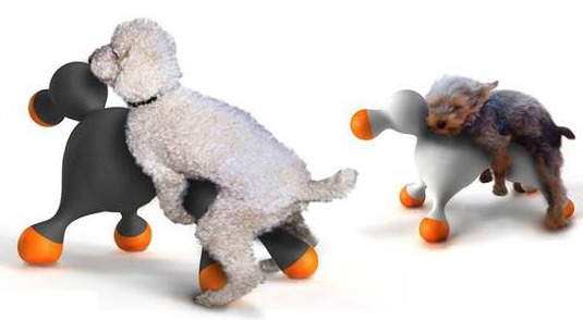 개 전용 자위기구............. | 인스티즈