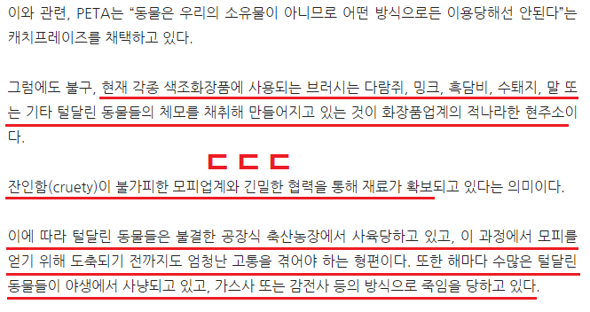 화장하는 여자들중에 이거 생각해본 사람 거의 없음 (부제: 메이크업 브러쉬의 끔찍한 진실...) | 인스티즈