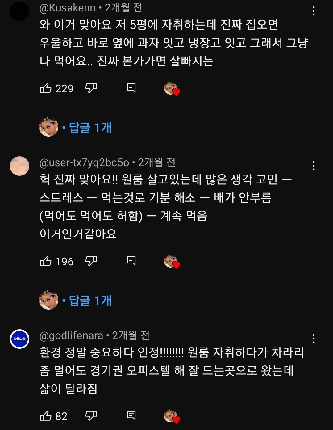 폭식증 극복 유튜버가 말하는 폭식증 원인.jpg | 인스티즈