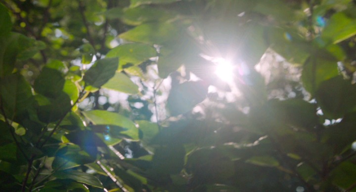 [물에빠진나이프] 퇴폐퇴폐 고딩의 기빨리는 연애 영화 - 13 | 인스티즈