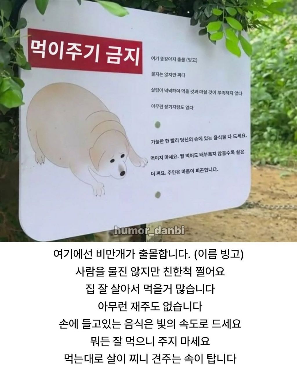중국의 강아지에게 먹이주지말라는 표지판 | 인스티즈
