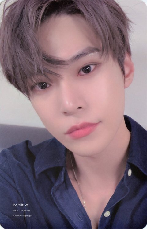 실제 아이돌 포카들로 알아보는 돌판 반포자이 포카 특징 | 인스티즈