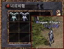 [아재들추억주의] 리니지 최초의 용 사냥꾼 '너의바램' | 인스티즈