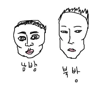 한국인의 얼굴 (북방계와 남방계) | 인스티즈