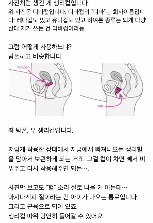 생리컵 노골적인 사용후기 | 인스티즈