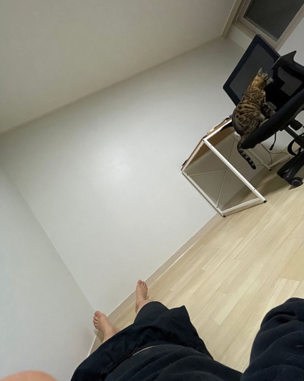 전세사기 당하고 차에서 1년반 살고 새 집 입주한 사람 | 인스티즈