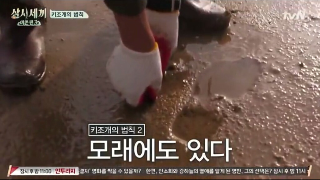 [삼시세끼] 에릭이 말하는 어이없는 키조개의 법칙ㅋㅋㅋㅋㅋㅋㅋㅋㅋ | 인스티즈