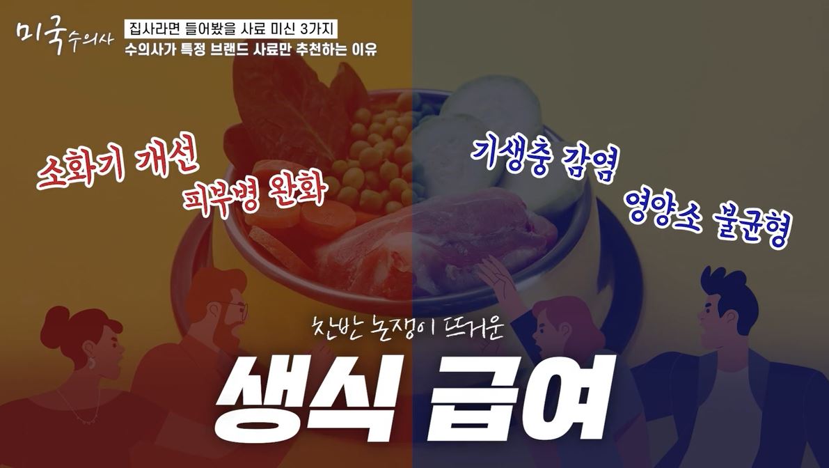 수의사가 절대 "생식"을 추천하지 않는 이유 (강아지 사료 관련 내용 있음) | 인스티즈
