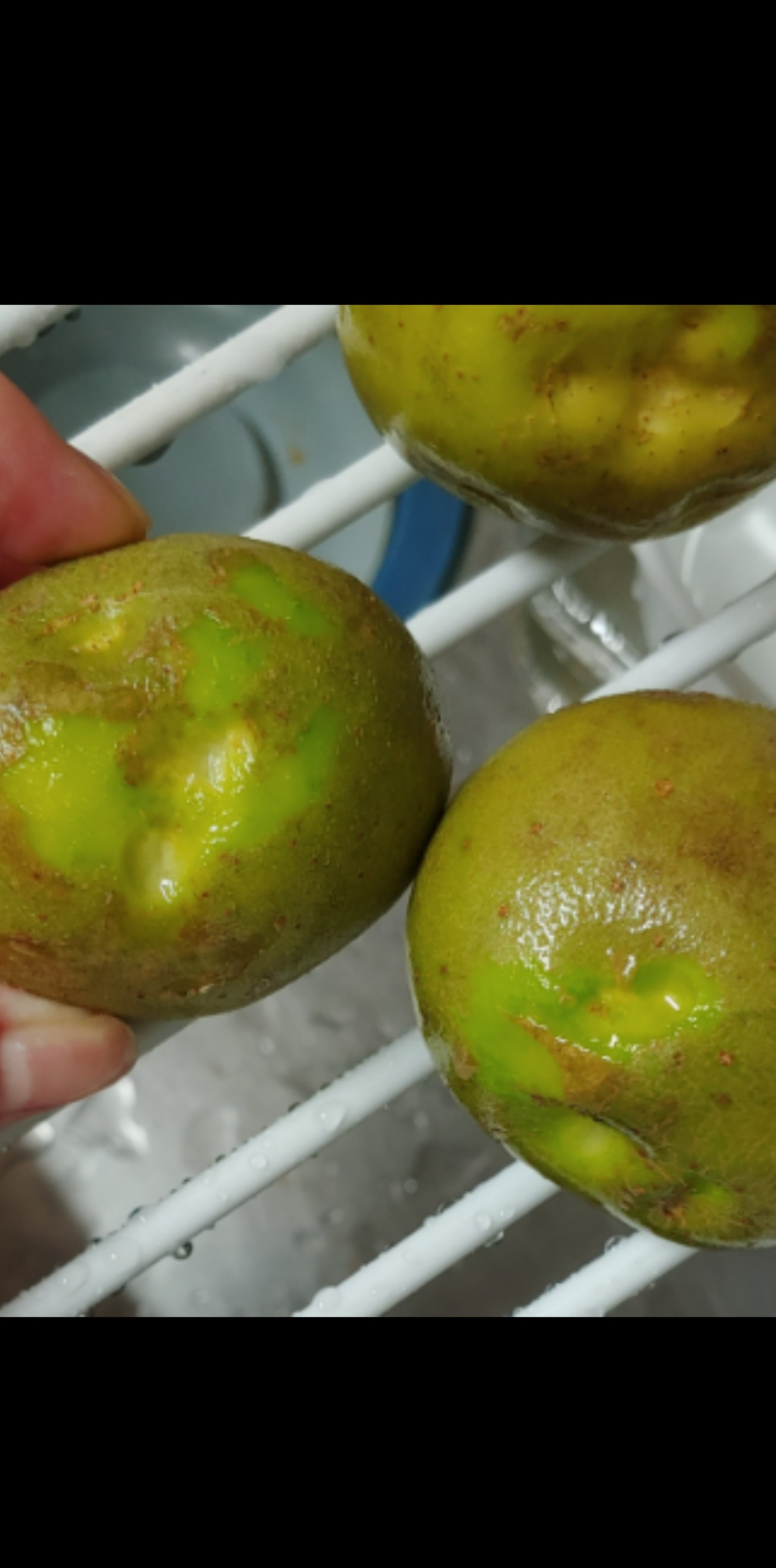 나 예전에 먹고 뻔한 감자 구경하고가 | 인스티즈