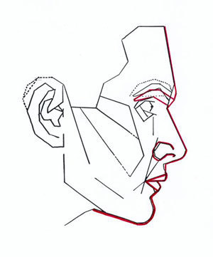 재미로 보는 잘생겼다. 예쁘다. 의 황금비율 마스크 조건.jpg | 인스티즈