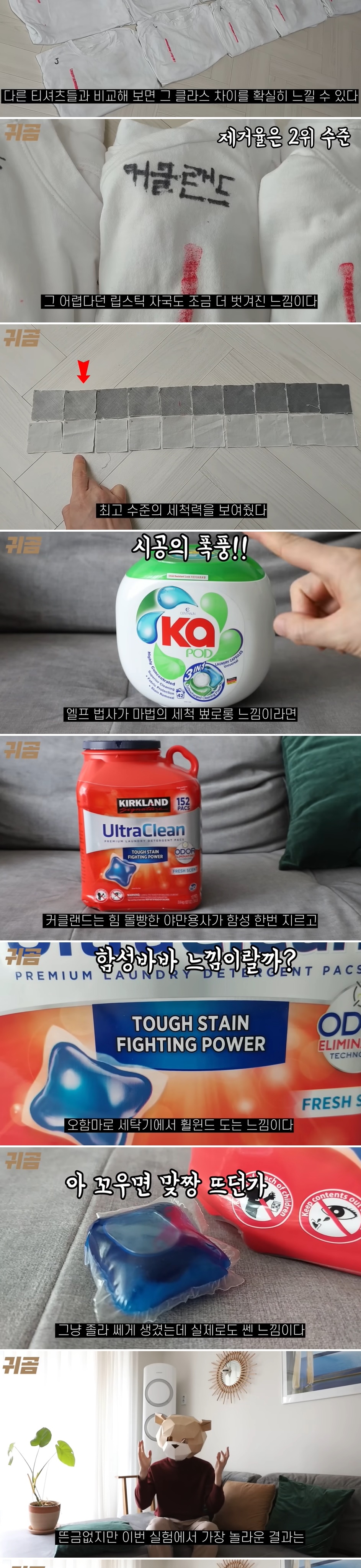 세탁세제 10종 비교_귀곰 내돈내산 | 인스티즈