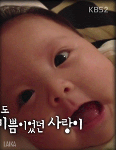  카메라가 꺼지면 변한다는 추성훈의 실체 .jpg | 인스티즈