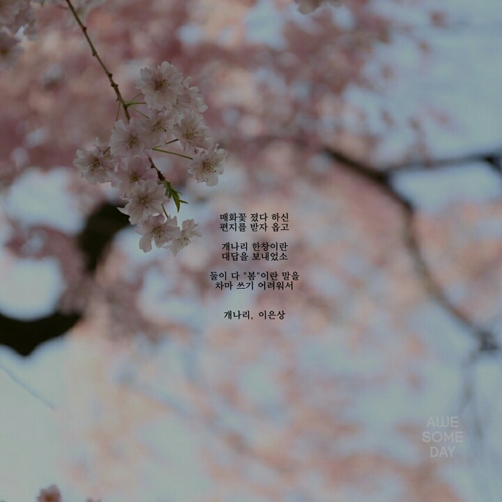 봄에 관한 시 모음 | 인스티즈
