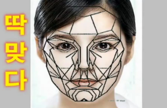 재미로 보는 잘생겼다. 예쁘다. 의 황금비율 마스크 조건.jpg | 인스티즈
