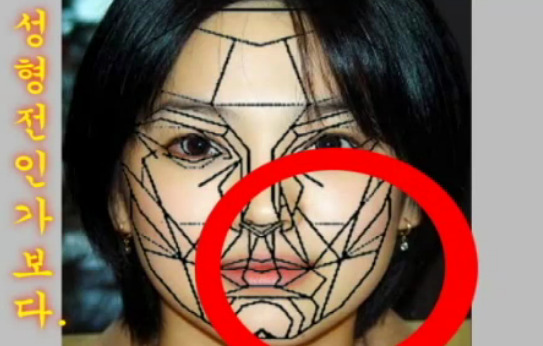 재미로 보는 잘생겼다. 예쁘다. 의 황금비율 마스크 조건.jpg | 인스티즈