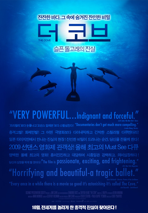 개인적으로 꼽아본 볼만한 영화 50선 추천 | 인스티즈